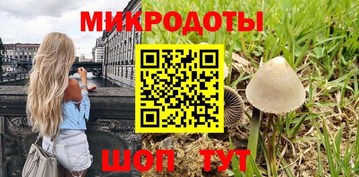 Псилоцибиновые грибы мицелий Новочебоксарск