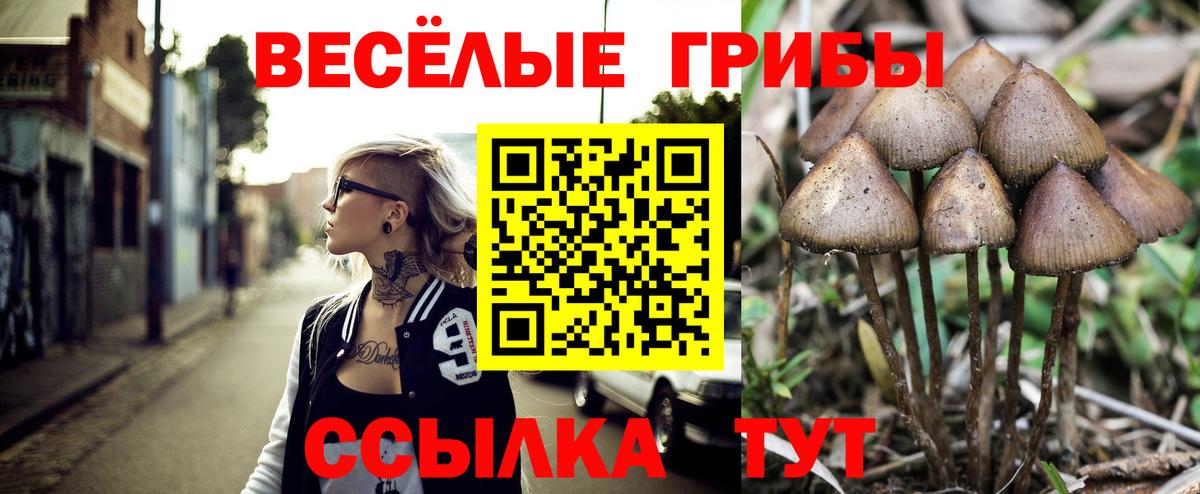 где купить наркоту  Галлюциногенные грибы прущие грибы  Вход с VPN  Новочебоксарск 